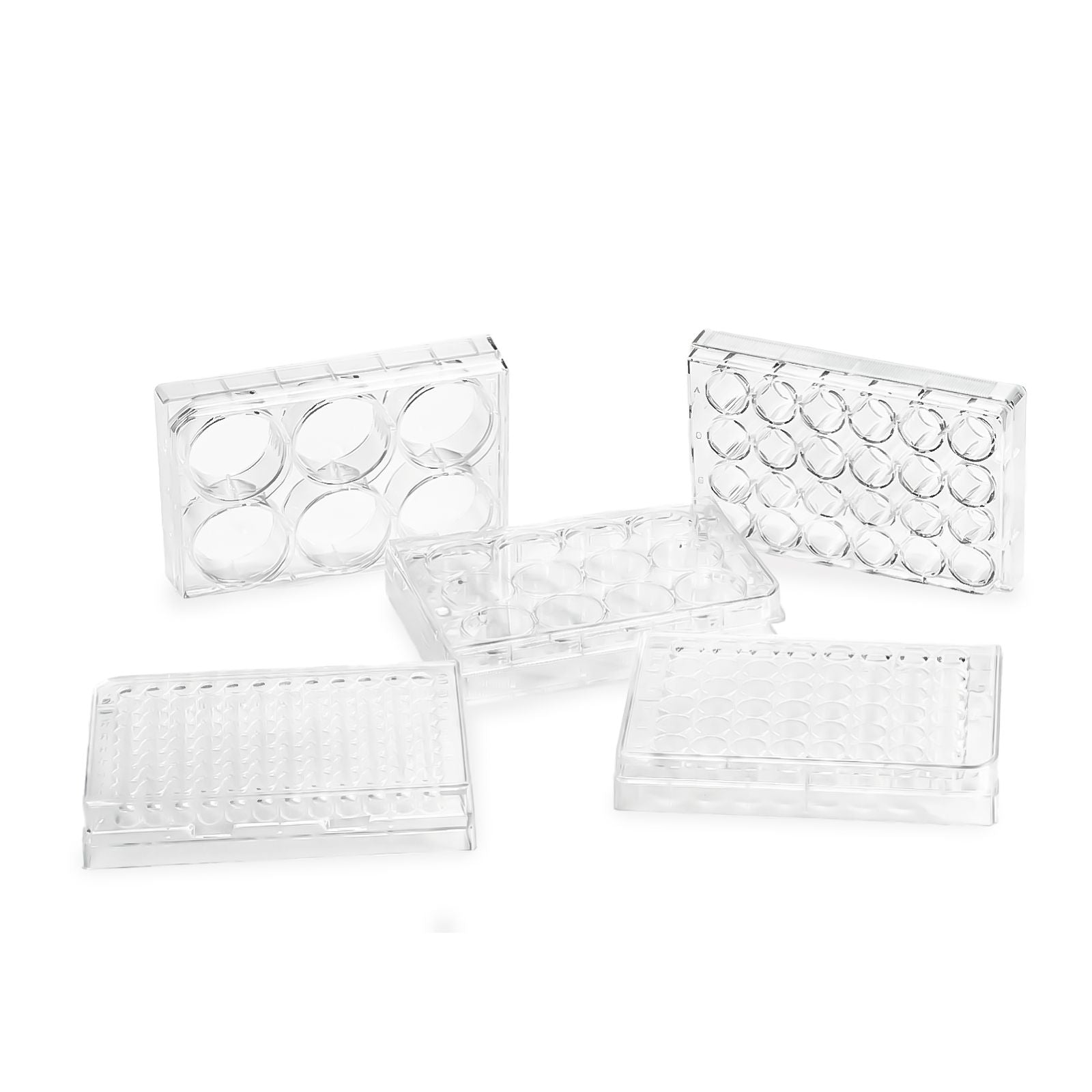 Lab Falcon multi-well cell culture plates for cell growth, assay setup, and laboratory workflows