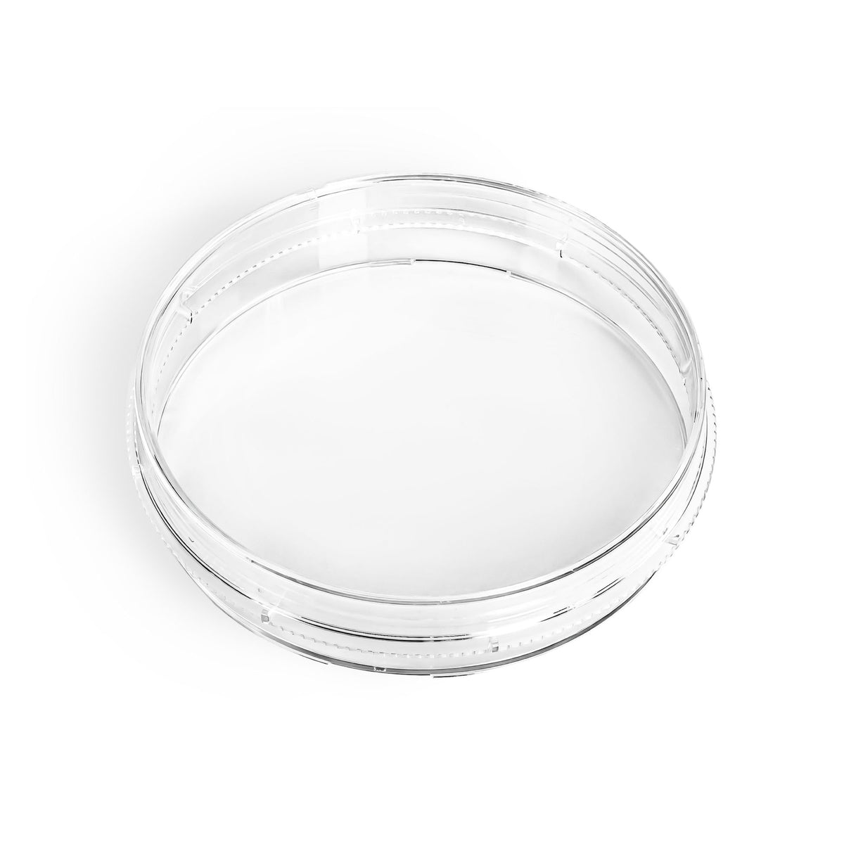 100 mm TC-Treated Culture Dish, 20 mm Depth, PS, Sterile