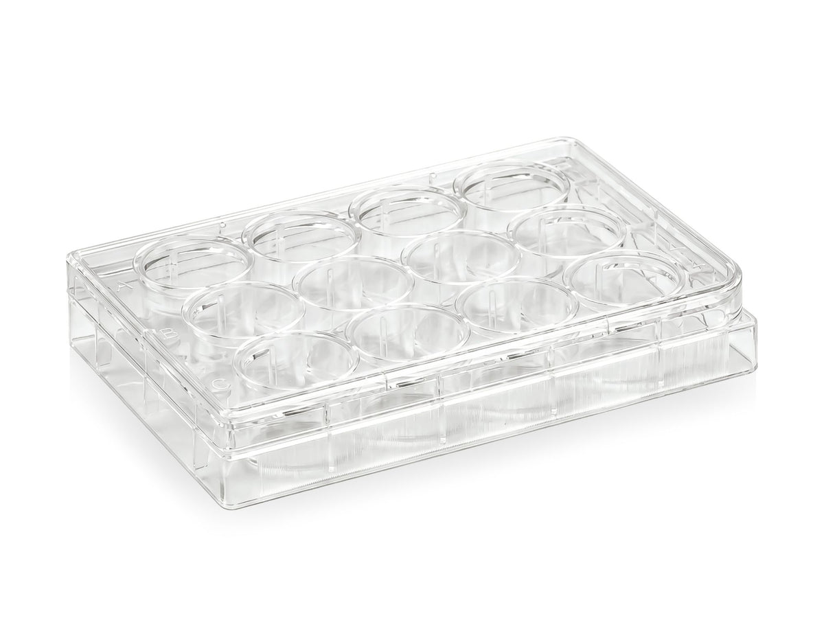 12-Well TC-Treated Culture Plate, Flat Bottom, PS, Sterile