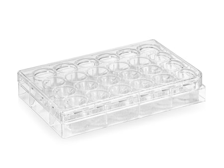 24-Well TC-Treated Culture Plate, Flat Bottom, PS, Sterile