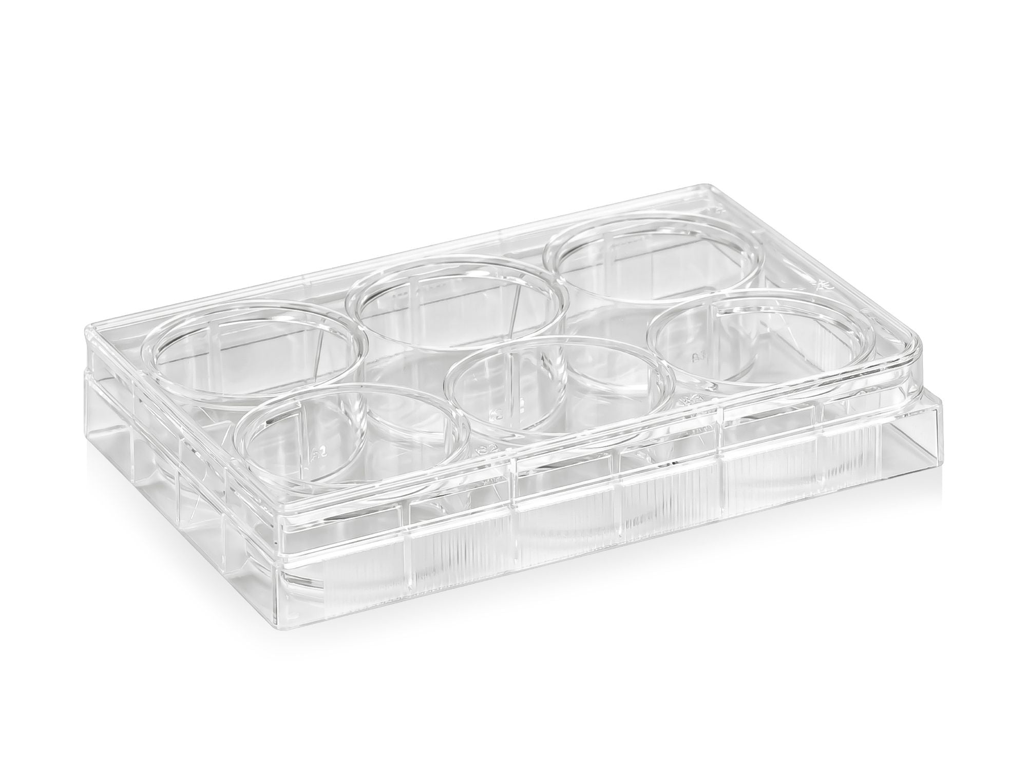 6-Well TC-Treated Culture Plate, Flat Bottom, PS, Sterile