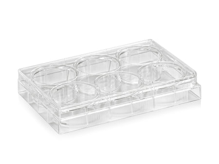 6-Well TC-Treated Culture Plate, Flat Bottom, PS, Sterile